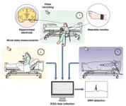 From ripples to daydreams: the brain activity behind mind wandering