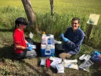 From roots to resilience: investigating the vital role of microbes in coastal plant health 2