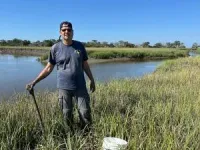 From roots to resilience: investigating the vital role of microbes in coastal plant health 3