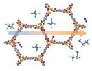 From separation to transformation: Metal-organic framework shows new talent