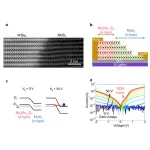 From sheets to stacks, new nanostructures promise leap for advanced electronics 2