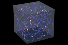 FSU engineering researchers visualize the motion of vortices in superfluid turbulence