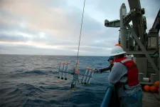 FSU researchers analyze carbon sequestration in California Current Ecosystem