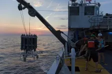 FSU researchers find most nitrogen in Gulf of Mexico comes from coastal waters