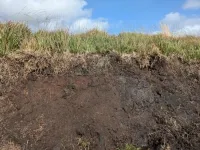 Future of UK peatlands under threat due to climate change