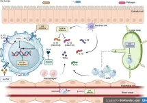 Future therapies for managing inflammatory bowel disease