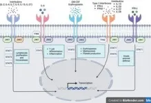 Future therapies for managing inflammatory bowel disease 2