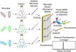 Galectins direct immunity against bacteria that employ camouflage