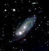 Gas rich galaxies confirm prediction of modified gravity theory