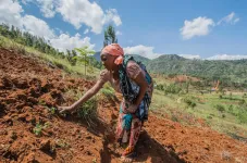 Gender discrimination threatens crop yield among smallholder farmers in Africa, researchers say