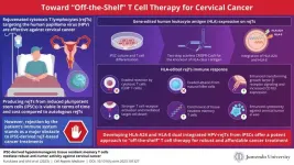 Gene-edited lymphocytes and the path toward ‘off-the-shelf’ therapy against cervical cancer