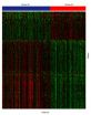 Gene expression signature reveals new way to classify gum disease