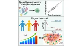 Gene signatures from tissue-resident T cells as a predictive tool for melanoma patients