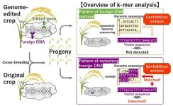 GenEditScan: novel k-mer analysis tool based on next-generation sequencing for foreign DNA detection in genome-edited products