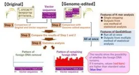 GenEditScan: novel k-mer analysis tool based on next-generation sequencing for foreign DNA detection in genome-edited products 2