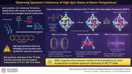 Generating stable qubits at room temperature