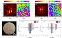 Generation and multiplexing of double-polarized terahertz vortex combs 3