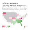 Genetic ancestry of different ethnic groups varies across the United States 2