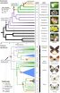 Genetic study of 'co-evolution' could provide clues to better food production 2