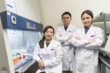 Genetically modified neural stem cells developed by CityU and HKUMed researchers show promising therapeutic potential for spinal cord injury