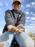 Genetics reveal ancient trade routes and path to domestication of the Four Corners potato