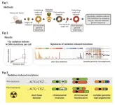 Genome sequencing unveils mutational impacts of radiation on mammalian cells