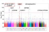 Genome-wide study identifies 8 new susceptibility loci for atopic dermatitis