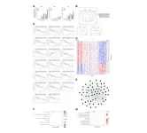 Genome-wide transcriptome profiling and development of age prediction models in the human brain