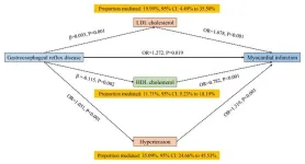 GERD linked to cardiovascular risk factors: New insights from Mendelian randomization study