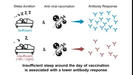 Getting a good night’s sleep could boost your response to vaccination