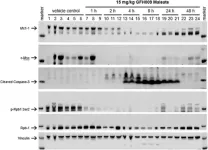 GFH009: A potent and highly selective CDK9 inhibitor for the treatment of hematologic malignancies