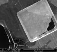 Giant flakes make graphene oxide gel