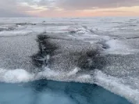 Giant viruses found on Greenland ice sheet 3