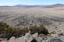 Glaciers and enigmatic stone stripes in the Ethiopian highlands