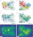 Global advances and future trends in cervical cancer research from 2013 to 2022