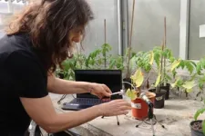 Global breakthrough: Plants emit sounds! 2