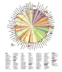 Global consortium creates large-scale, cross-species database and universal ‘clock’ to estimate age in all mammalian tissues