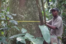 Global network transforming tropical forest research