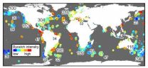 Global problem of fisheries bycatch needs global solutions