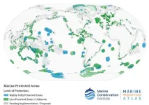 Global study by Hawaiʻi Institute of Marine Biology demonstrates benefit of marine protected areas to recreational fisheries