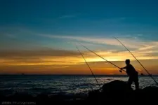 Global study by Hawaiʻi Institute of Marine Biology demonstrates benefit of marine protected areas to recreational fisheries 2