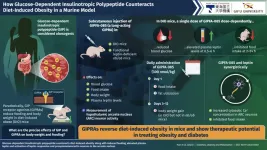 Glucose-dependent insulinotropic polypeptide prevents diet-induced obesity in mice