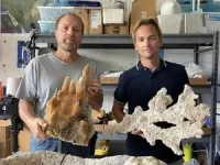 Going ‘back to the future’ to forecast the fate of a dead Florida coral reef 2