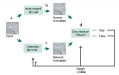 Gold digger: Neural networks at the nexus of data science and electron microscopy