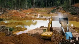 Gold mining in the Peruvian Amazon has done more damage to peatlands in the last two years than in the previous three decades 