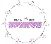 Gold-phosphorus nanosheets catalyzes nature gas to greener energy selectively