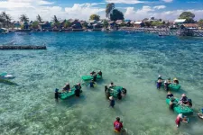 Good news for coral reef restoration efforts: Study finds “full recovery” of reef growth within four years