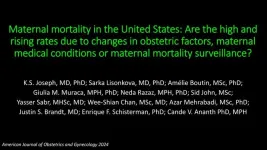 Good news: the US maternal death rate is stable, not sky rocketing, as reported