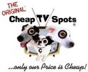 Google Penguin "Updates" Spur Small Businesses to Rethink Marketing - CheapTVSpots.com