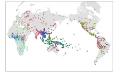 Grambank shows the diversity of the worlds languages